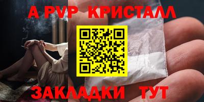 твердый Тара