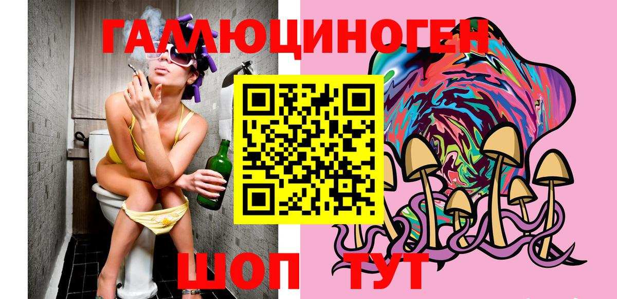 Галлюциногенные грибы Psilocybine cubensis Осинники