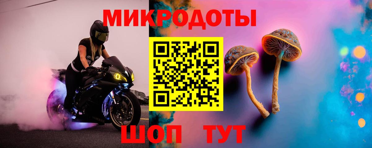 Галлюциногенные грибы прущие грибы  Галлюциногенные грибы Cubensis  Осинники  Вход с VPN 