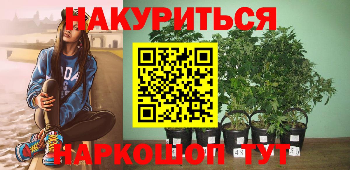 Каннабис Amnesia Осинники