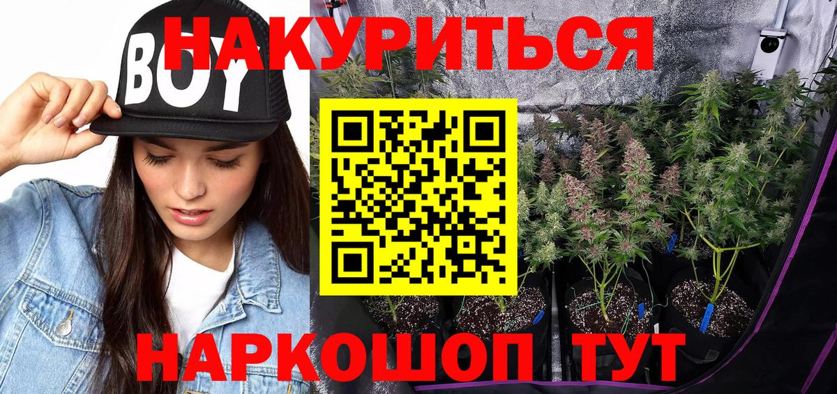 МАРИХУАНА план  Вход с VPN  Марихуана OG Kush  Осинники  Шишки марихуана Ganja 